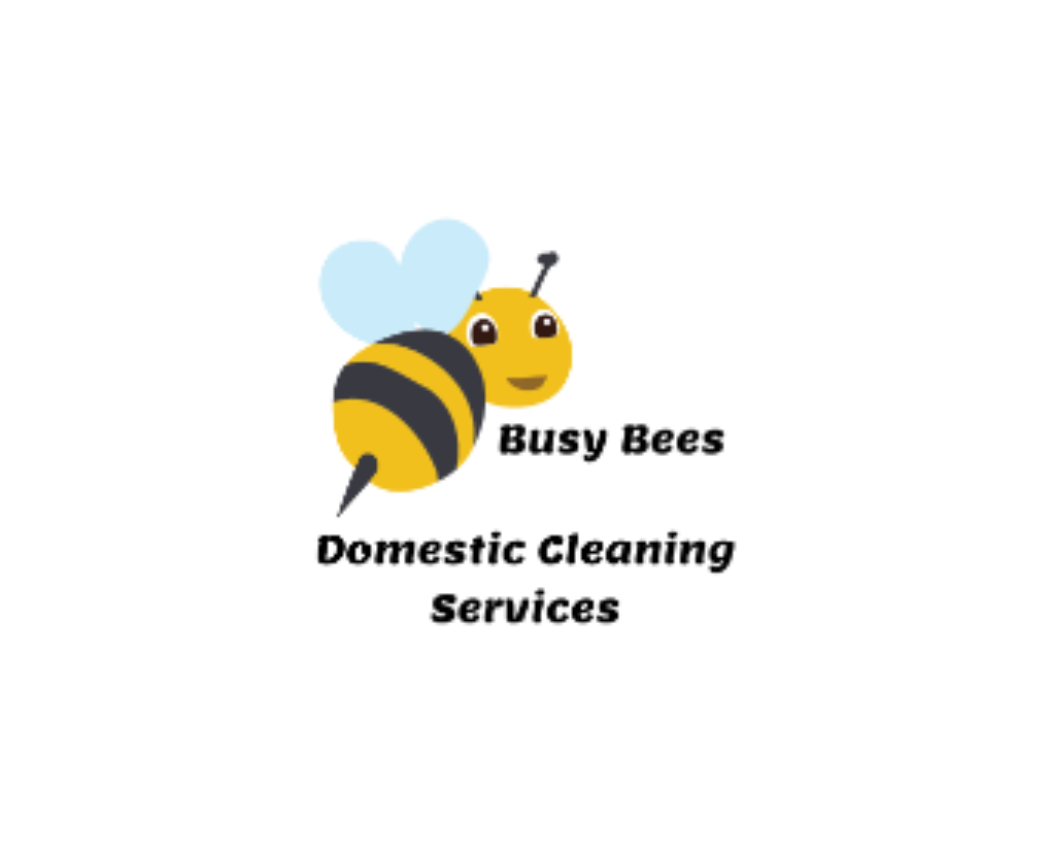 Domestic Cleaning Services